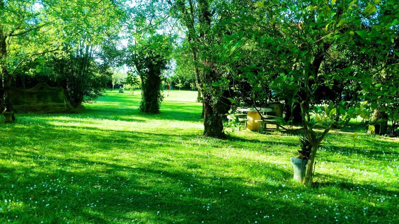 Apartamento Tomela نوخا المظهر الخارجي الصورة